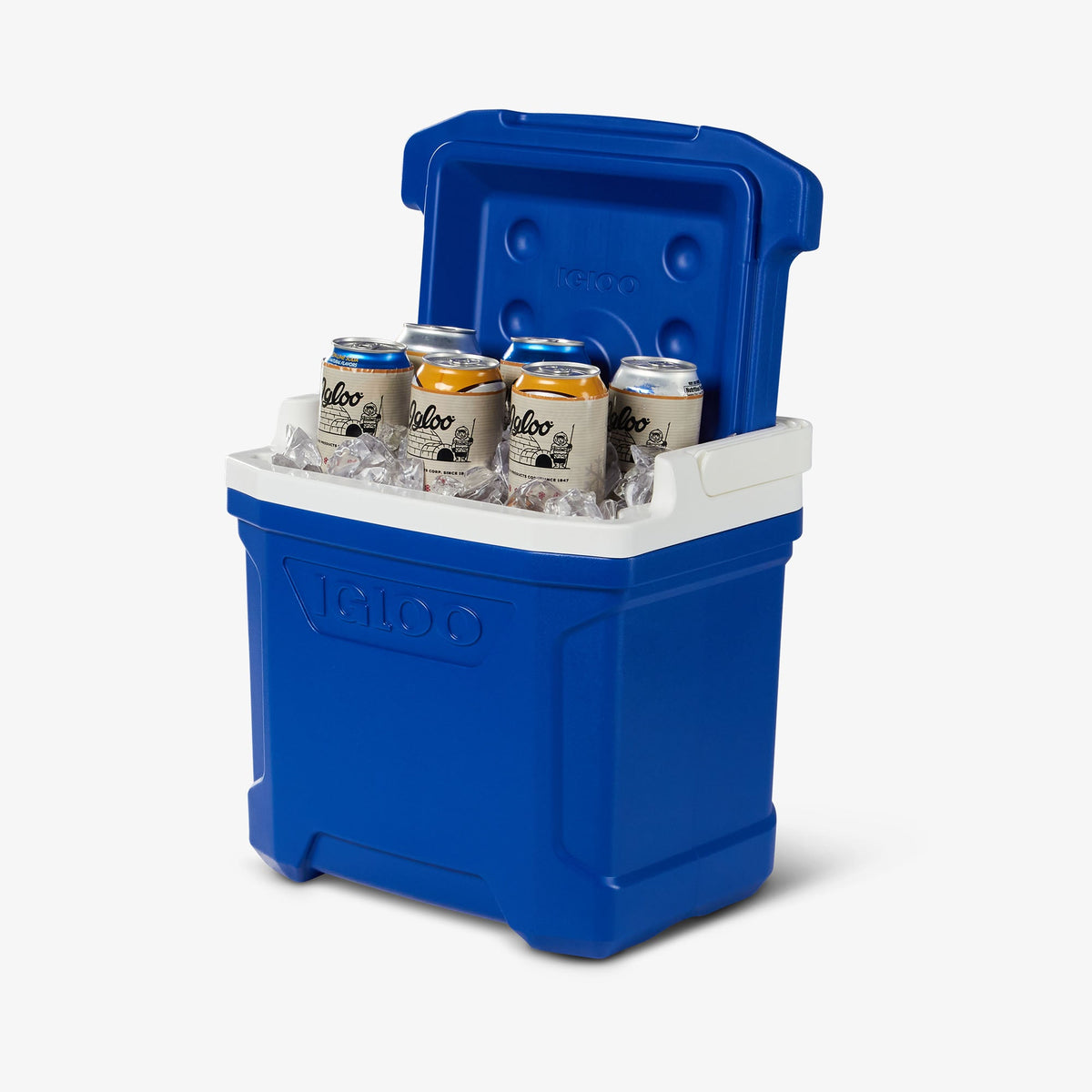profile-ii-16-qt-cooler-b9 00032631-P1.jpg