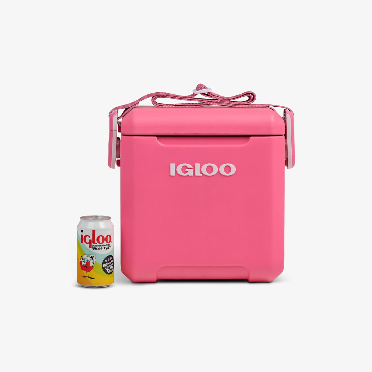tag-along-too-remix-cooler-j5 00033199-P_861a5cd2-f15c-4217-a471-e33cc3890d9e.jpg