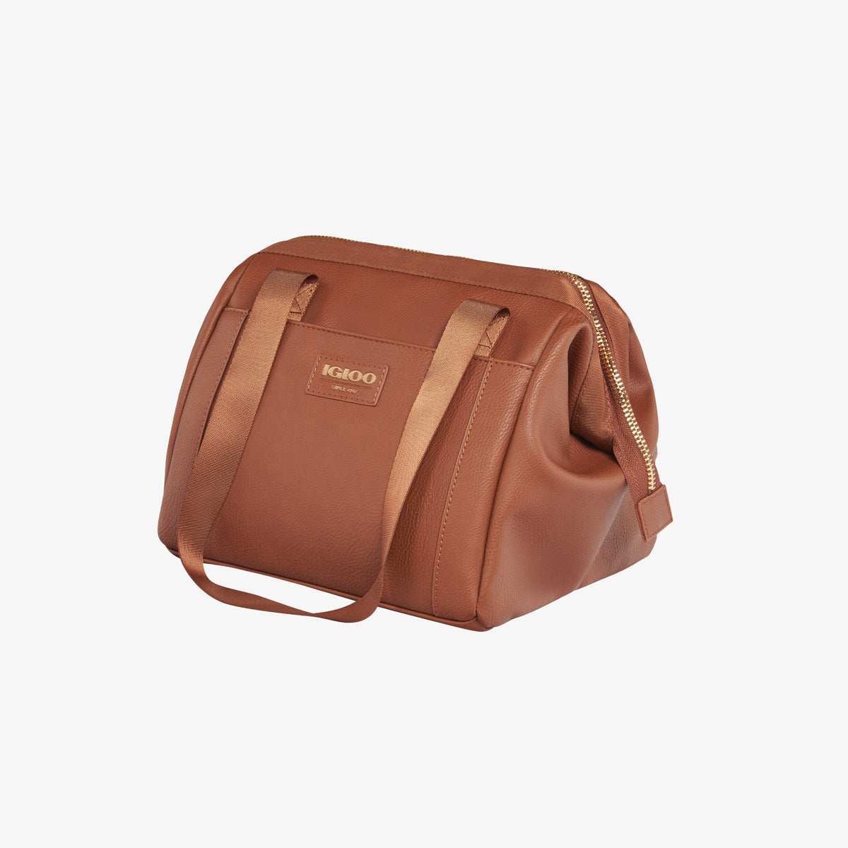 igloo-luxe-lunch-tote-cooler-bag-s4 00061160_2.jpg