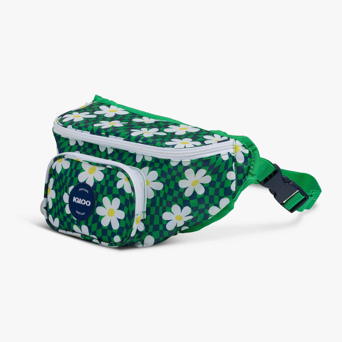 retro-fanny-pack-z6 00067206-H1.jpg