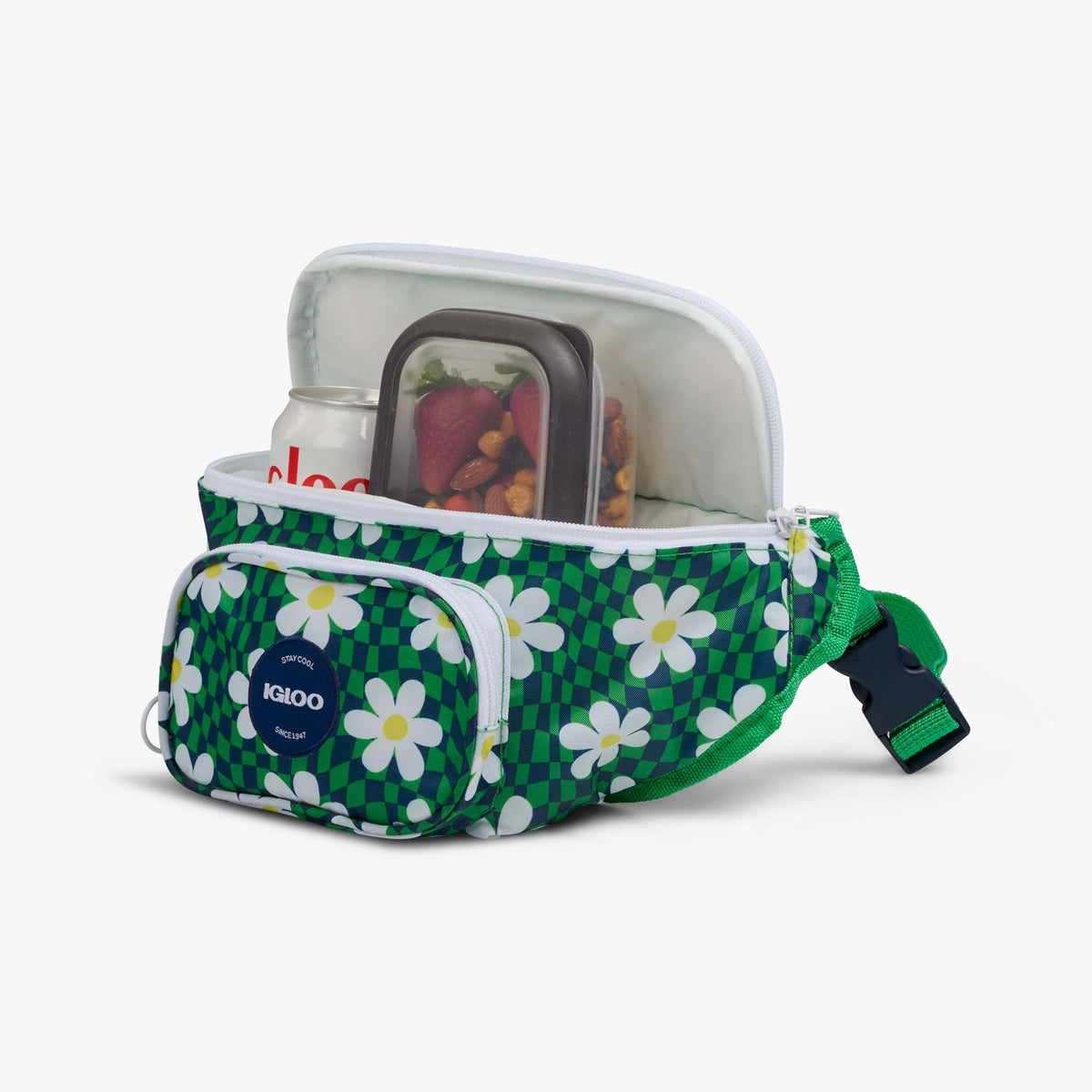 retro-fanny-pack-z6 00067206-P1.jpg